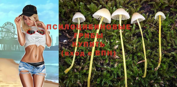ALPHA PVP Весьегонск