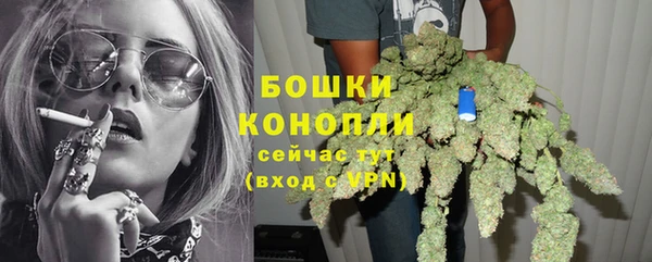 соль ск Всеволожск